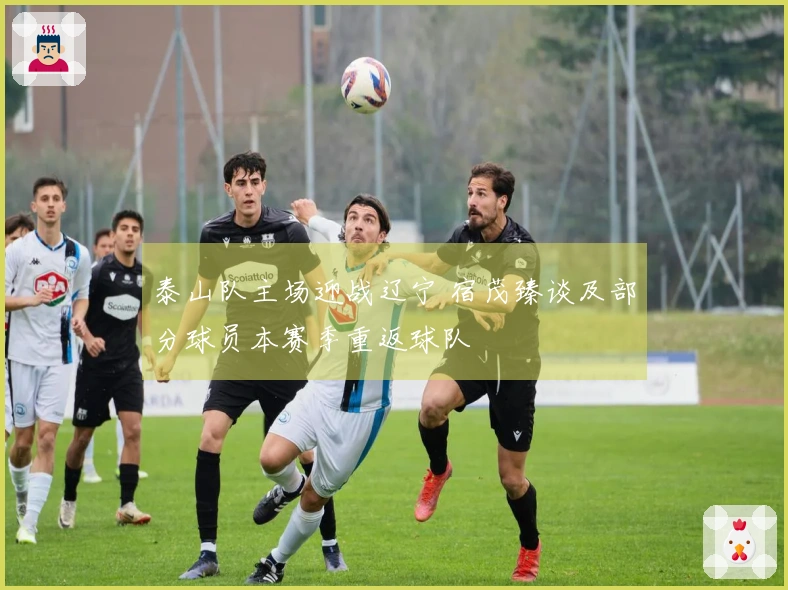 泰山队主场迎战辽宁 宿茂臻谈及部分球员本赛季重返球队